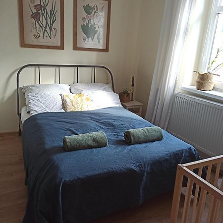 Apartament Przy Wandy เจโลนากูรา ภายนอก รูปภาพ
